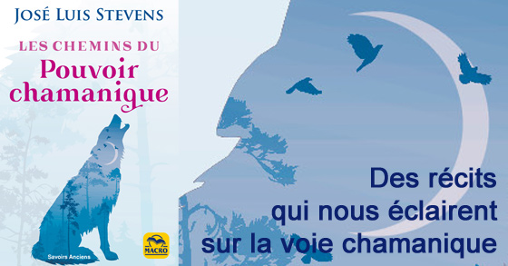 Livre : les chemins du pouvoir chamanique