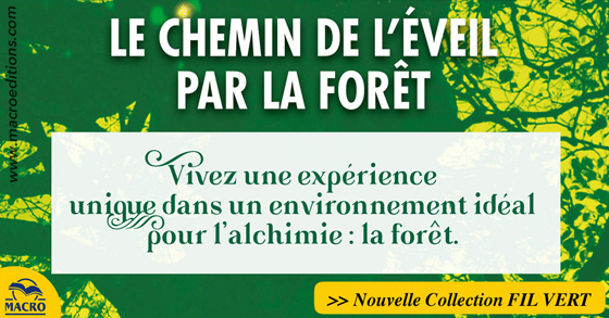 La nouvelle collection LE FIL VERT